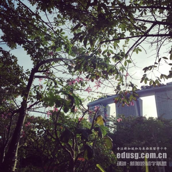 新加坡读研究生要求有哪些