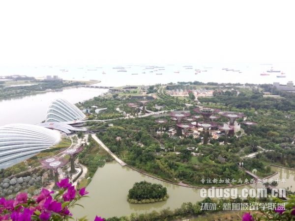 留学新加坡物理专业申请要求