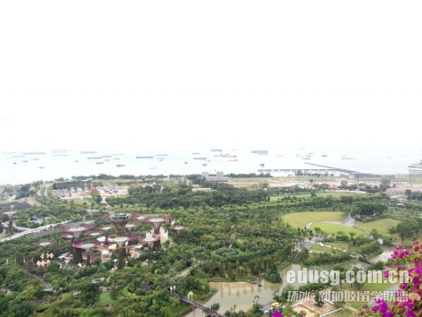 高中申请新加坡大学