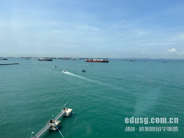 新加坡公立的大学研究生申请要求