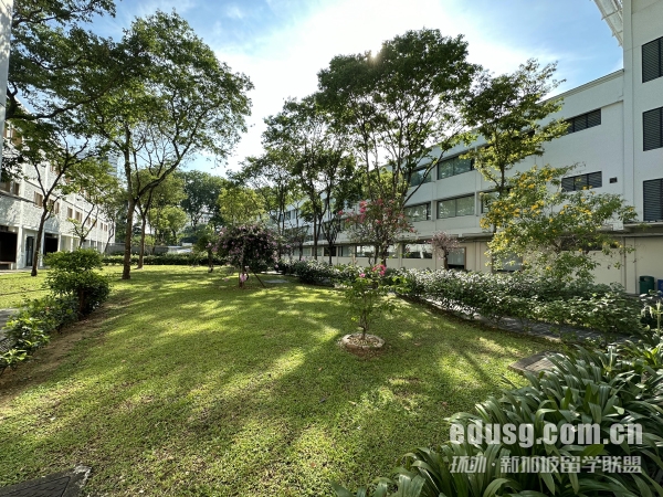 ���¼��´�ѧ��Ҫʲô����