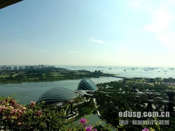 �¼��±�����ѧ������ʲô