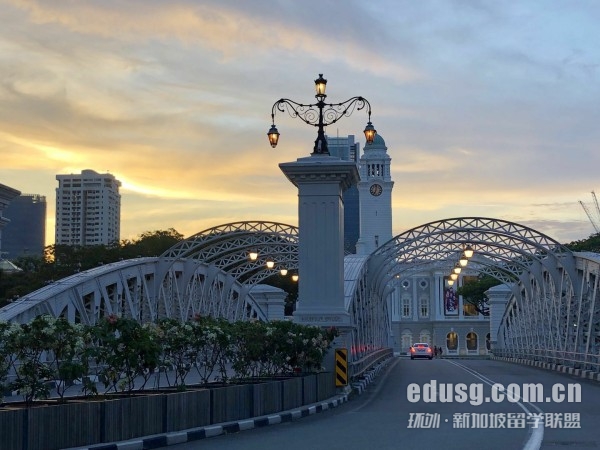 去新加坡上小学条件