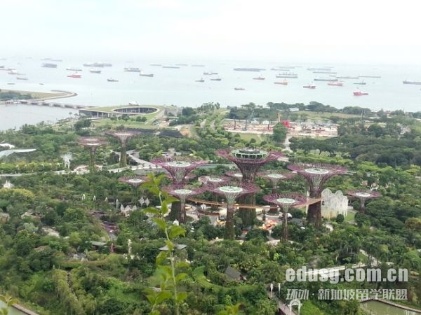 新加坡公立大学读研难申请吗