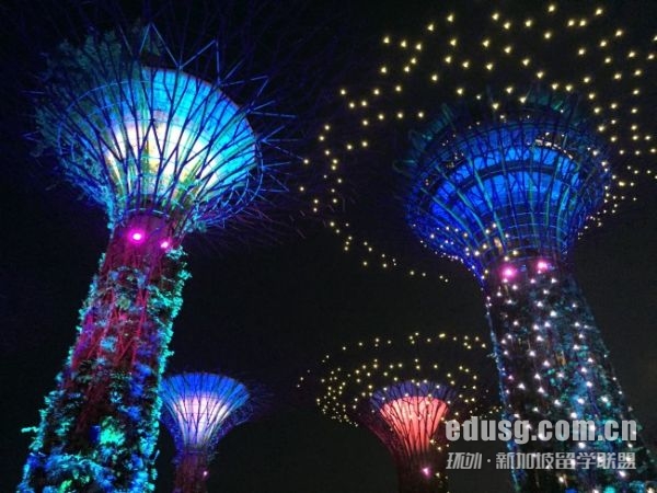 怎么报考新加坡的大学