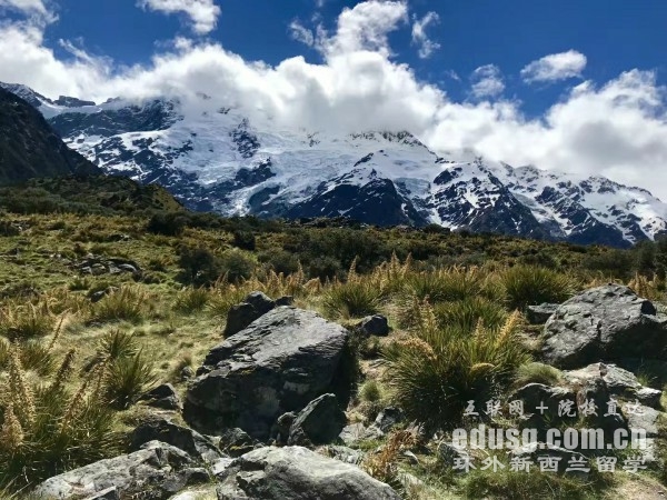 ȥ��������ѧ��ʲôҪ��