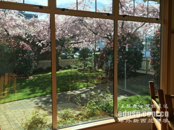 �������Ƶ����רҵ