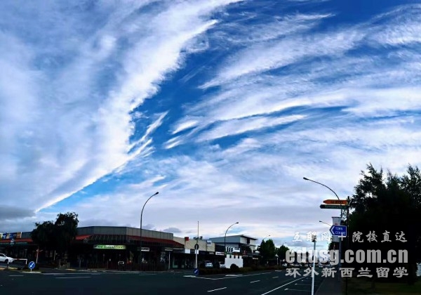 新西兰奥克兰大学怎么样