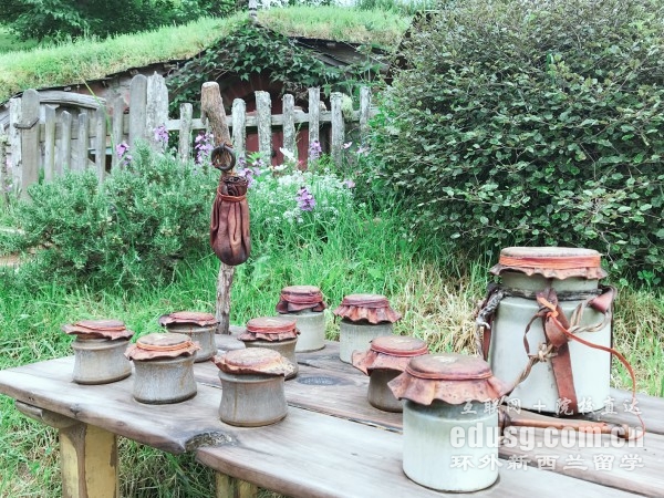 新西兰留学语言条件