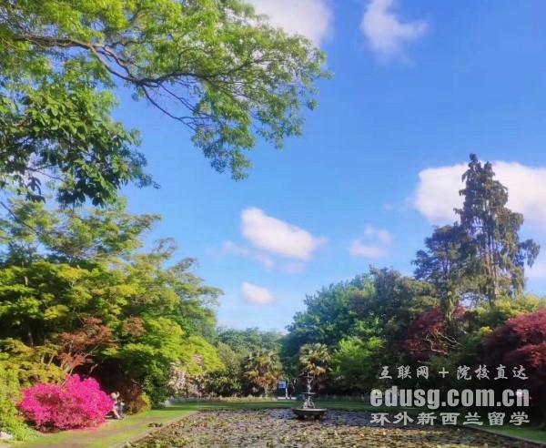 新西兰留学一年的学费