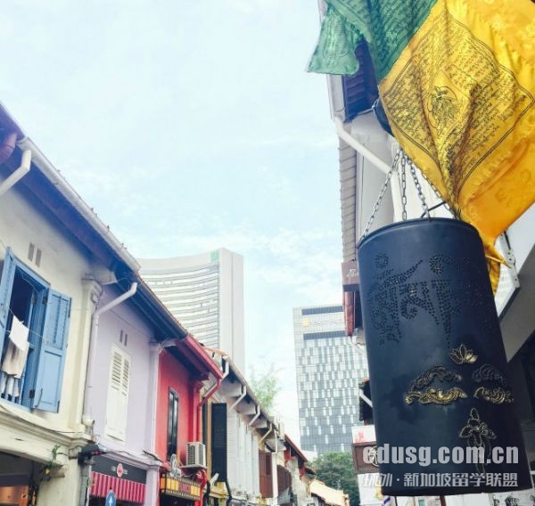 在新加坡读大学一年费用