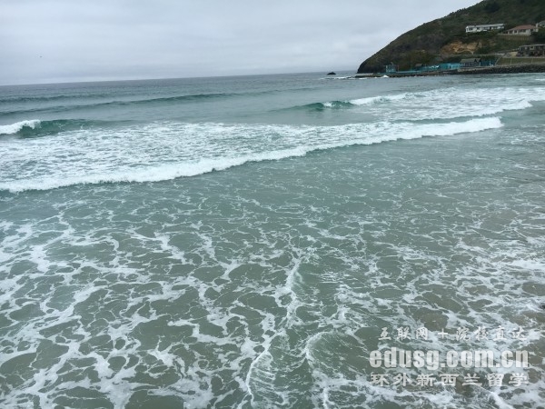 ����������רҵ