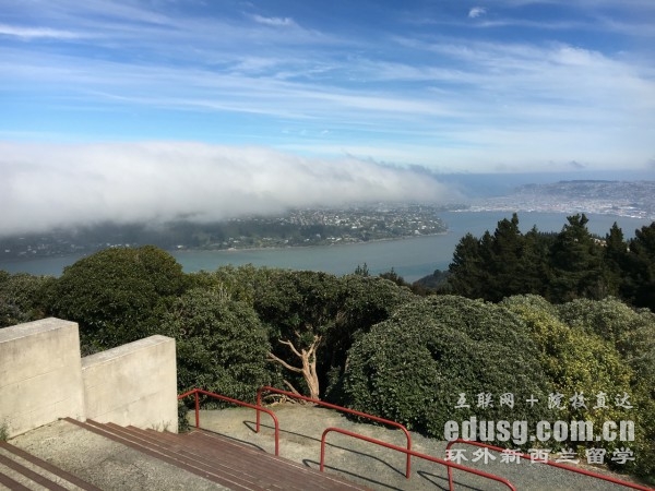 梅西大学信息科学专业