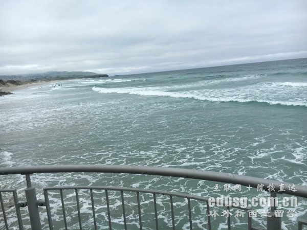 新西兰留学读研学历条件