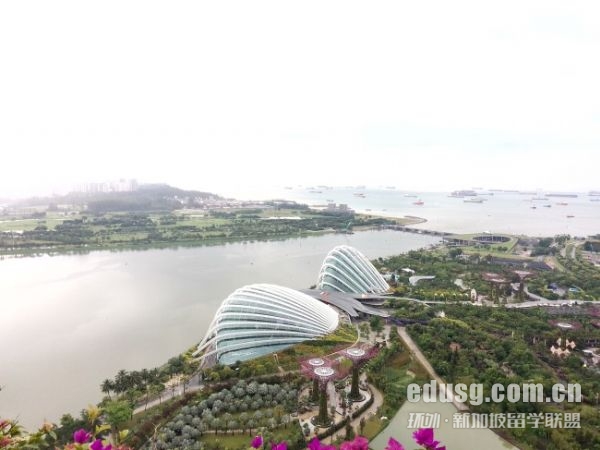 新加坡管理学院传媒专业