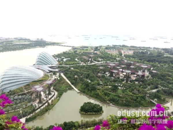 新加坡的国际小学学费是多少