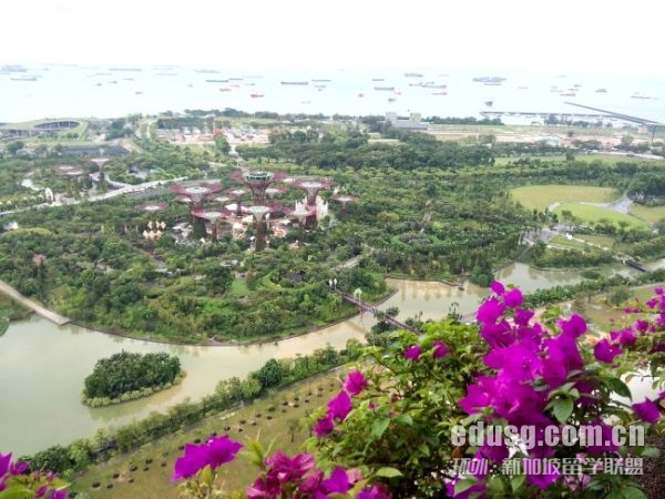 新加坡读大学一年学费