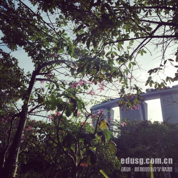 �¼��¹�����ѧ�����о���������