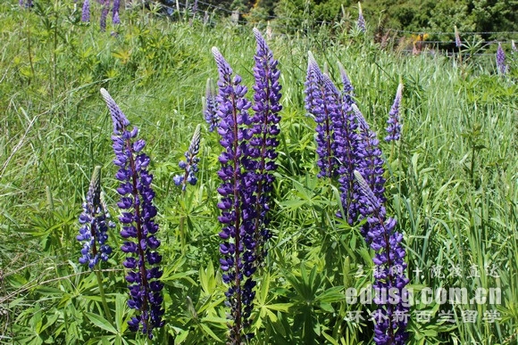 ������˶ʿ��ѧ��רҵ