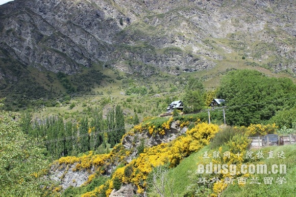 ����������רҵ��ѧ