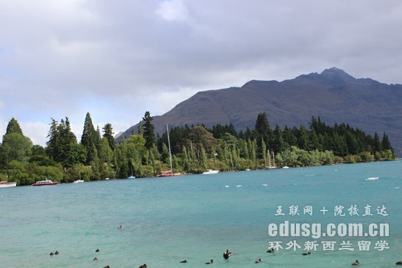 新西兰奥塔哥大学预科申请