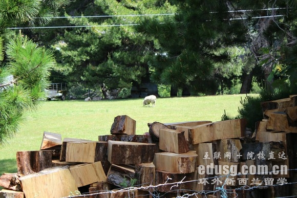 ��������ѧ���е�רҵ