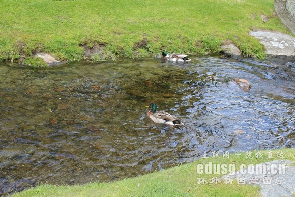 ȥ������������ѧ