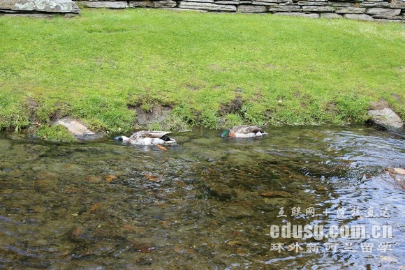 ȥ������������ѧ