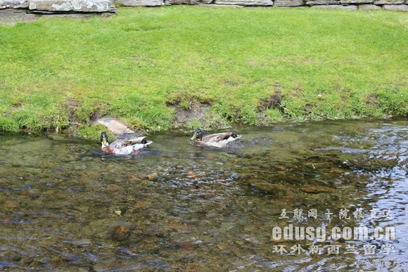 新西兰初中留学条件