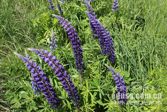 ������������ѧҪ��