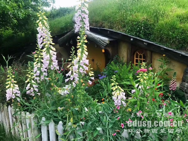 �������ֿϴ�ѧũҵרҵ