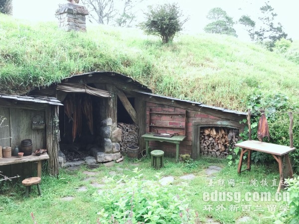 奥克兰大学IT硕士学费