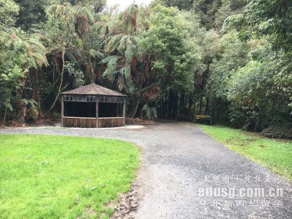 ������Сѧ��ѧ����ʱ��