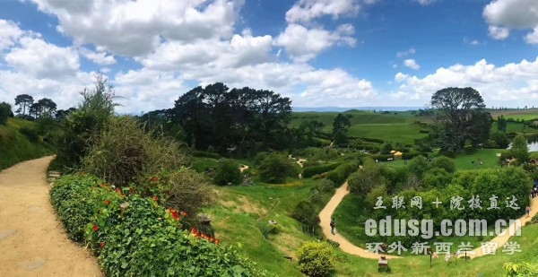 �����������д�ѧ��ѧ��רҵ