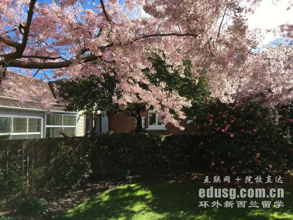 去新西兰留学读高中