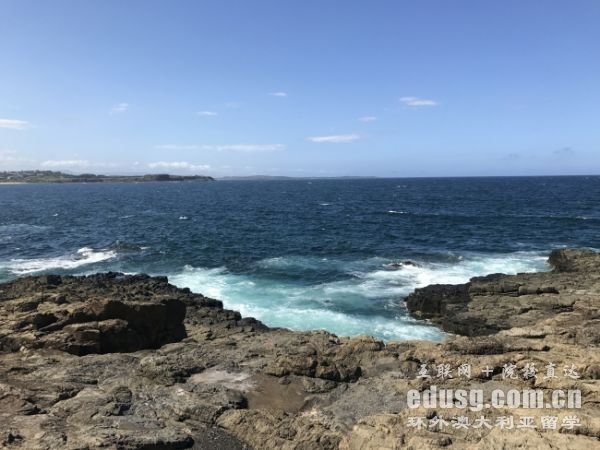 �Ĵ�������ѧ����Ҫ��