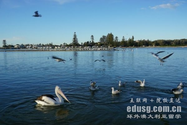 澳大利亚经济专业