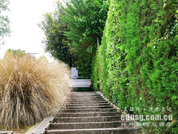 ����������רҵ������ѧѧ��