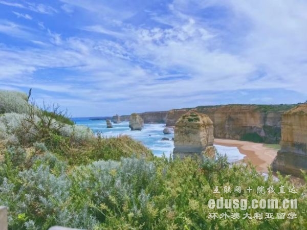 澳大利亚计算机专业