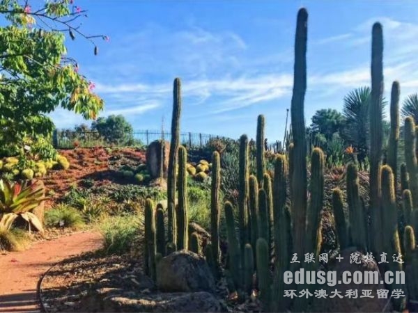 �Ĵ�����Ϥ���ѧ����