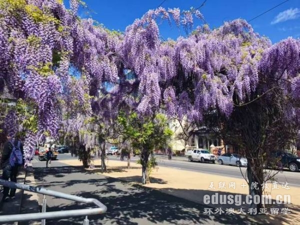 �Ĵ����ǵľ���˶ʿ