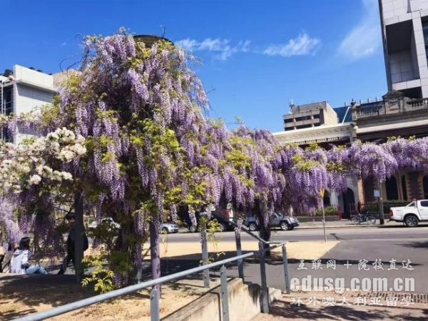 �Ĵ����Ǵ�ѧ����