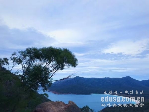 本科澳大利亚留学条件