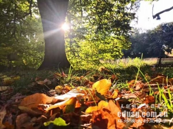澳大利亚高中留学的条件