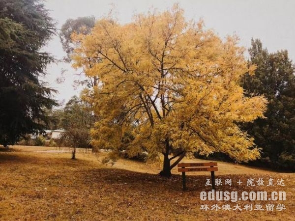 澳大利亚签证儿童申请