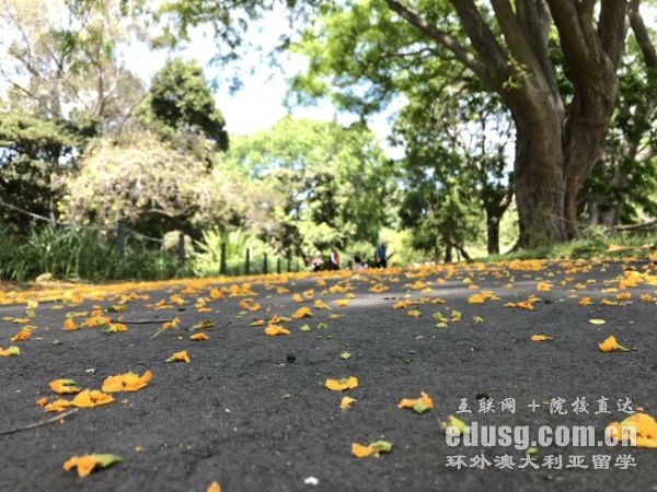 昆士兰大学研究生绩点要求