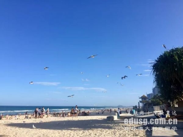 �Ĵ����Ǹ�����ѧ����