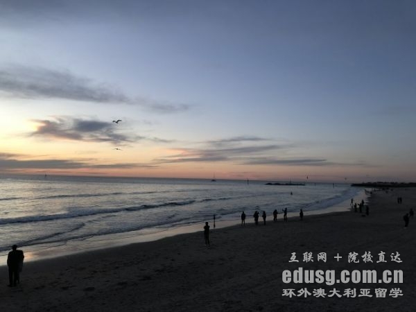 �Ĵ�����ҽѧ˶ʿԤ��