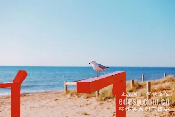 �Ĵ����Ǵ�ѧ��qs����