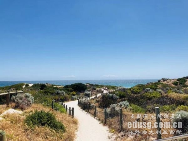 �Ĵ�����������רҵ